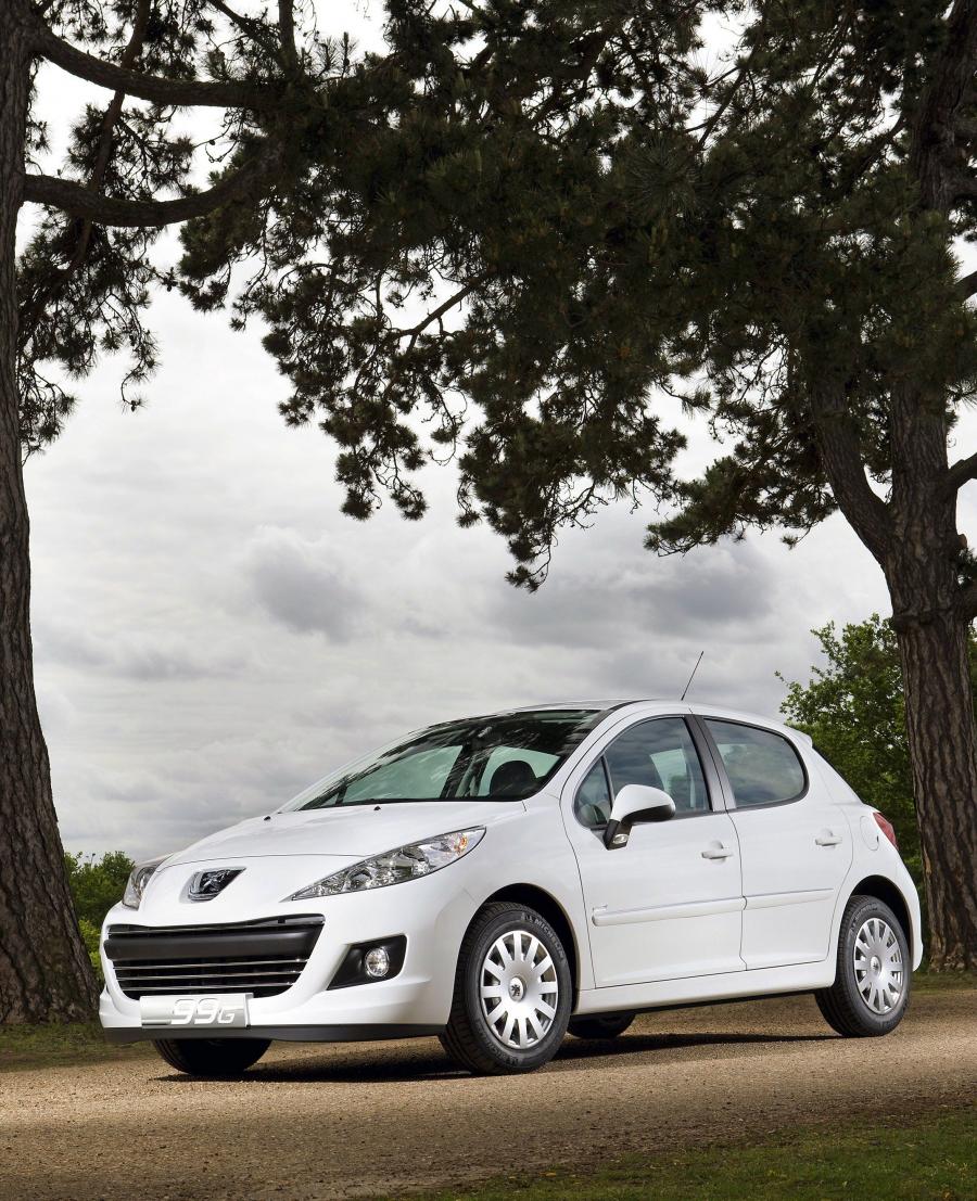  Peugeot 207 Economique 2009 года  (фото 10 из 10)